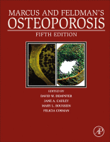 Textbook of Gastrointestinal Radiology