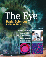 The Eye