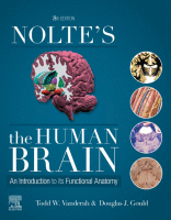 Nolte&#039;s The Human Brain