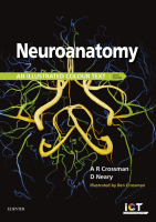 Neuroanatomy: An Illustrated Colour Text