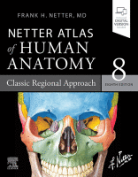 Netter Atlas of Human Anatomy: Classic Regional Anatomy Approach